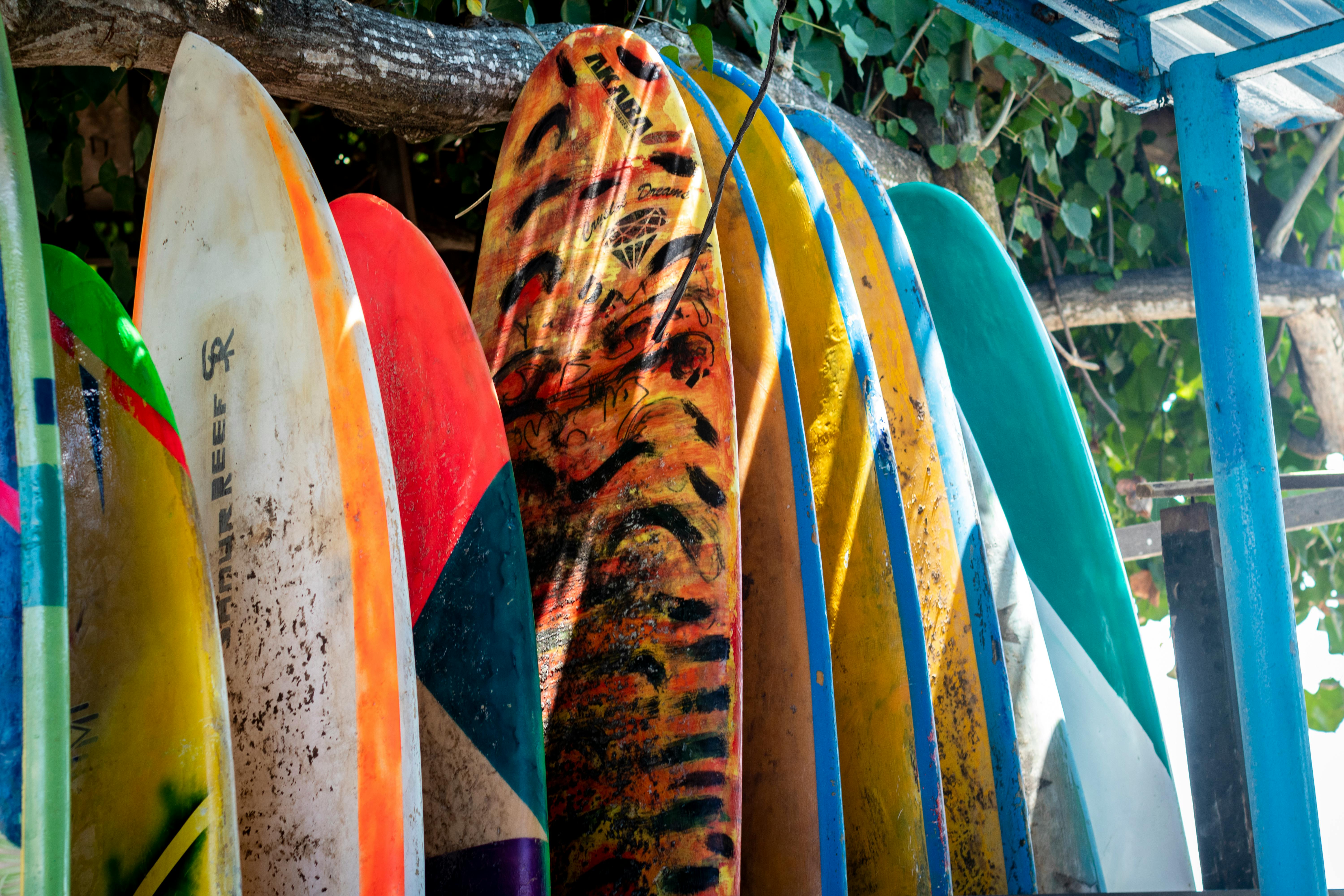 6000x4000 Surfing Boards Photo, Download