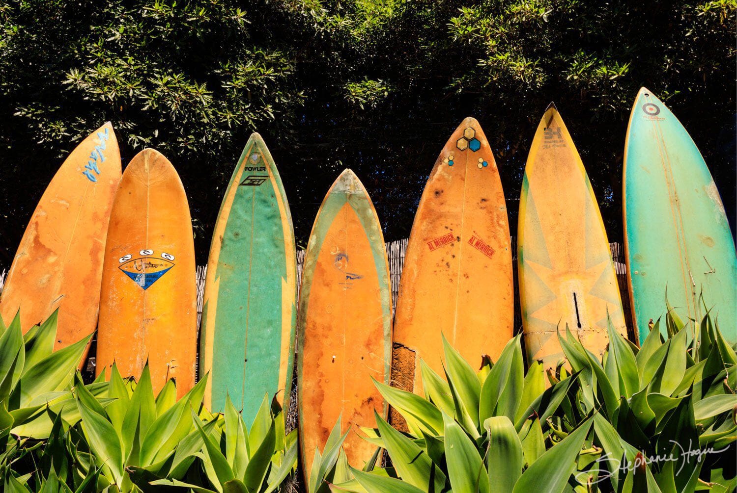 1500x1005 Vintage Surfboards Surfboards