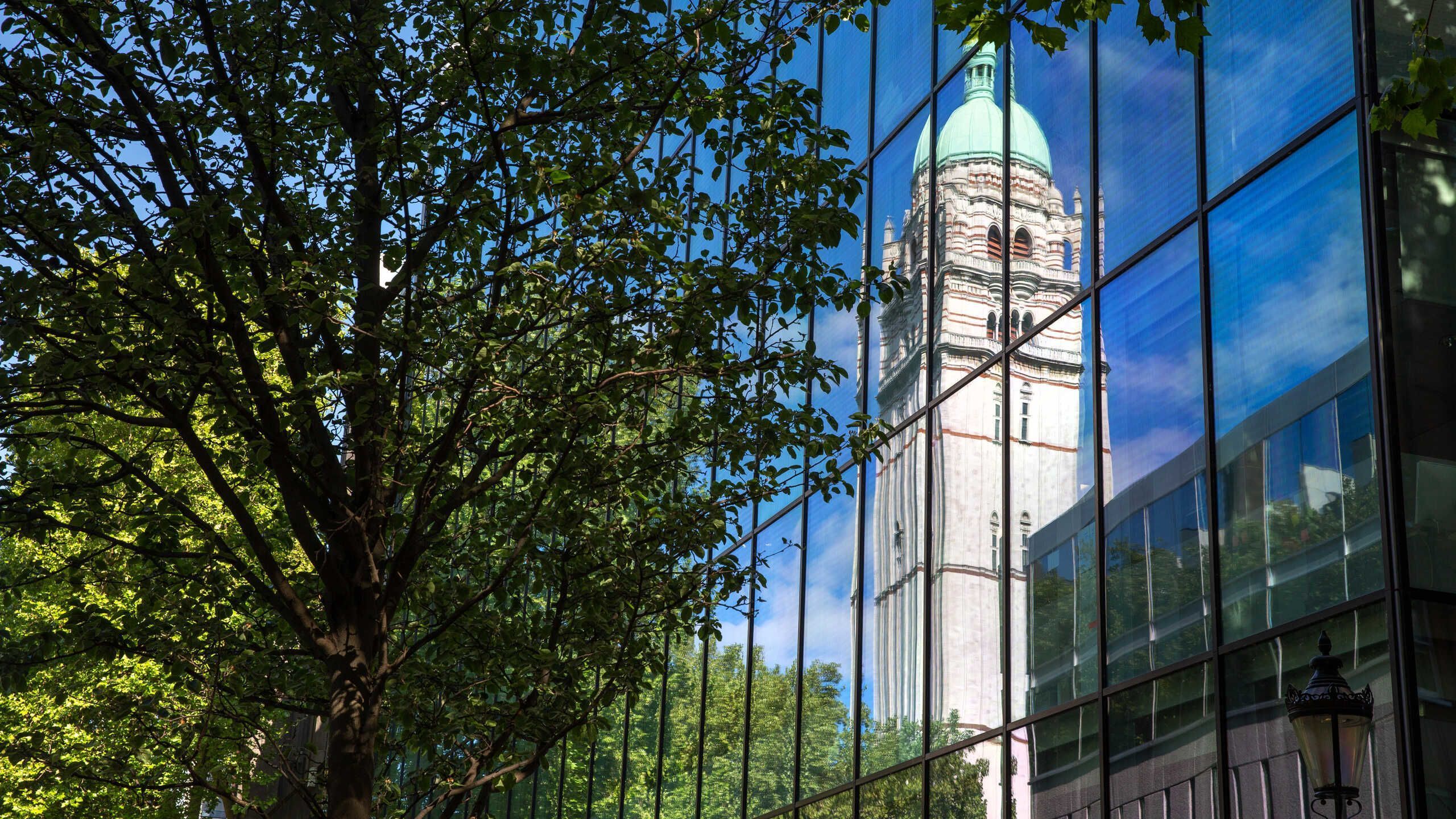 2560x1440 MSc Applied Biosciences and Biotechnology