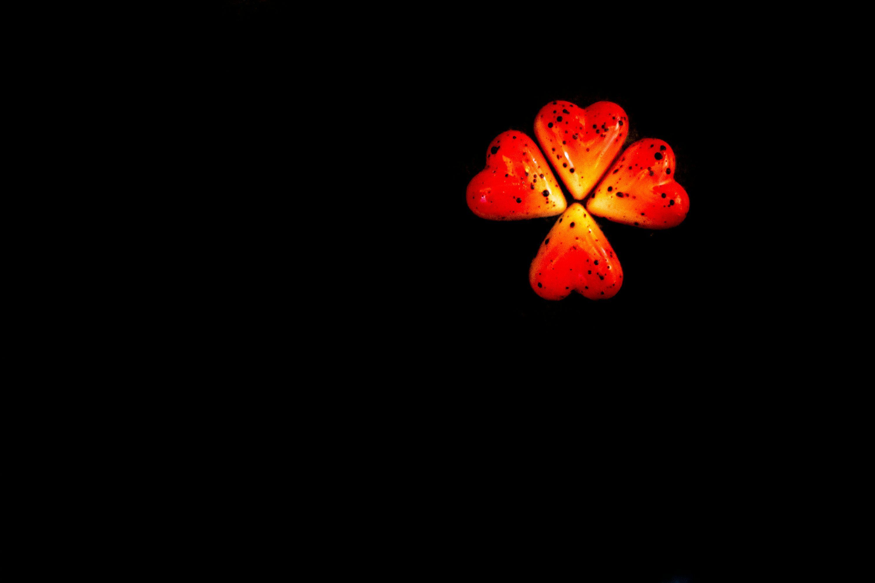3000x2000 Four Leaf Clover Picture. Download