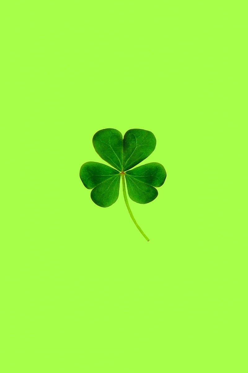 800x1200 leaf Clover, green, lucky, HD