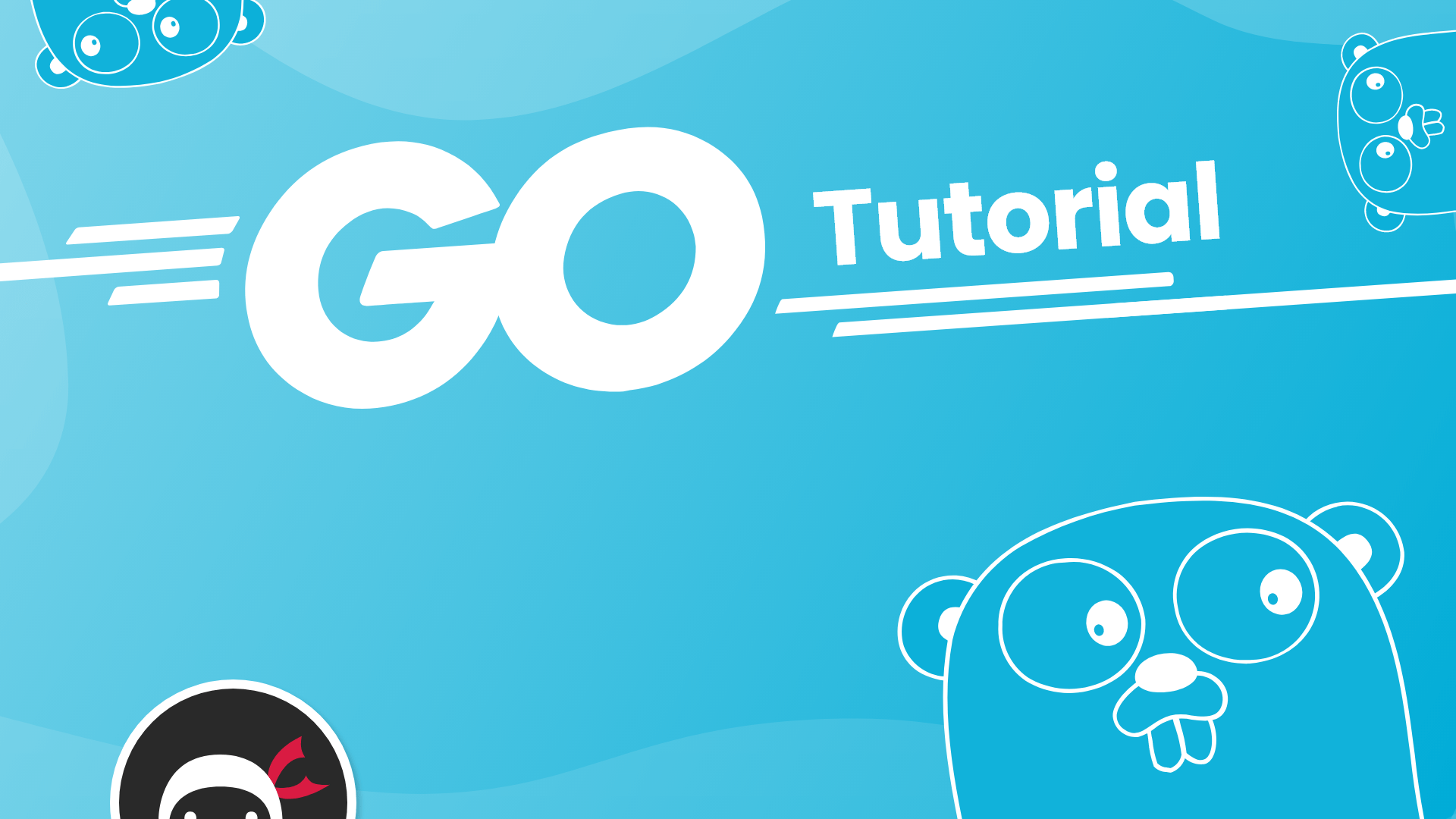 Go Language Wallpapers - Top Free Go Language Backgrounds - WallpaperAccess