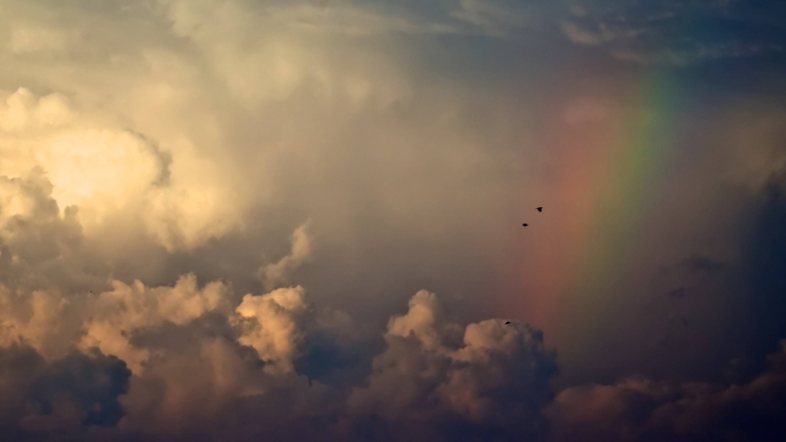 2560x1440 New IMAC HD Wallpaper for PC & Mac, Laptop, Tablet, Mobile