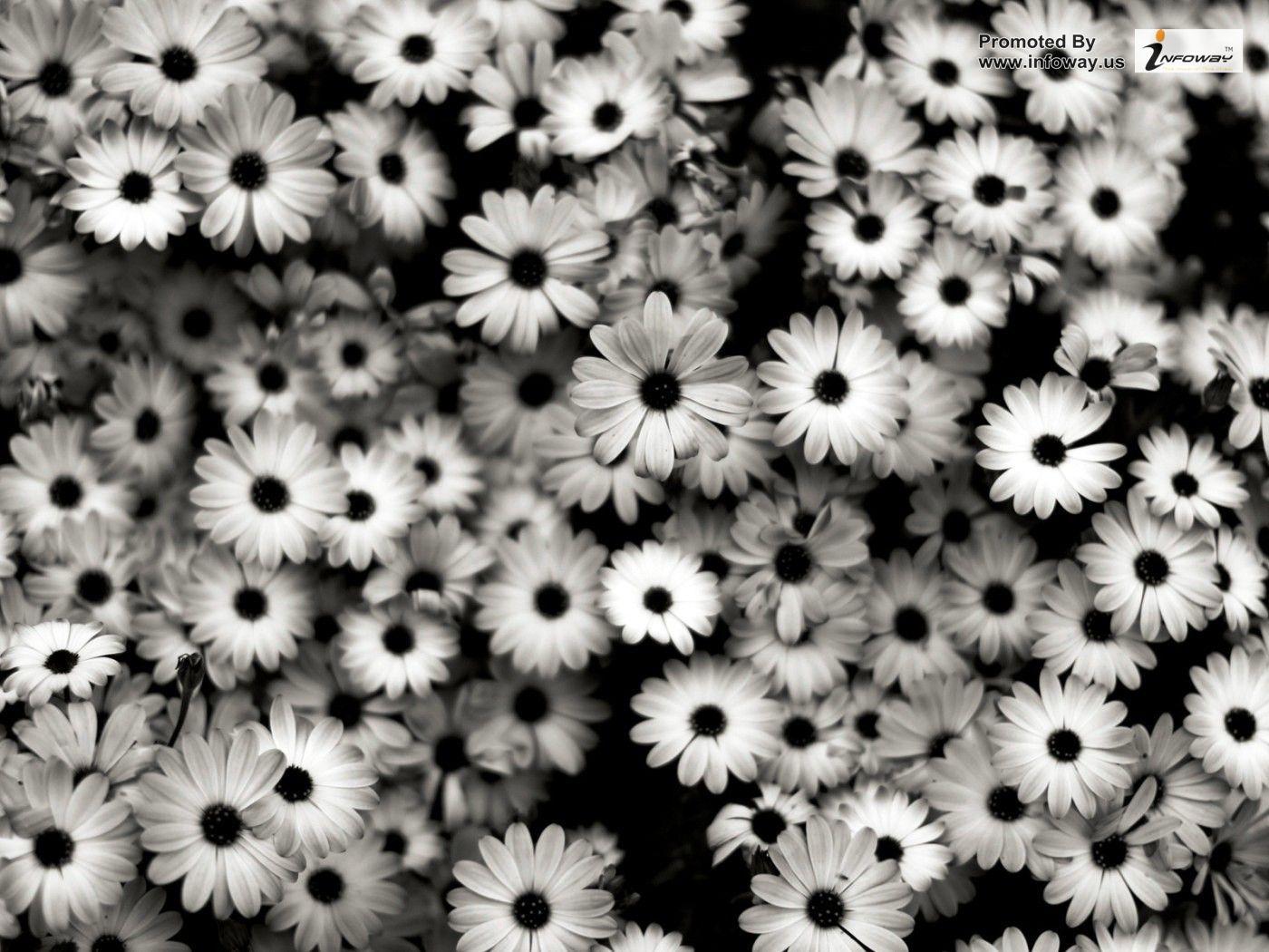 vintage black and white floral background