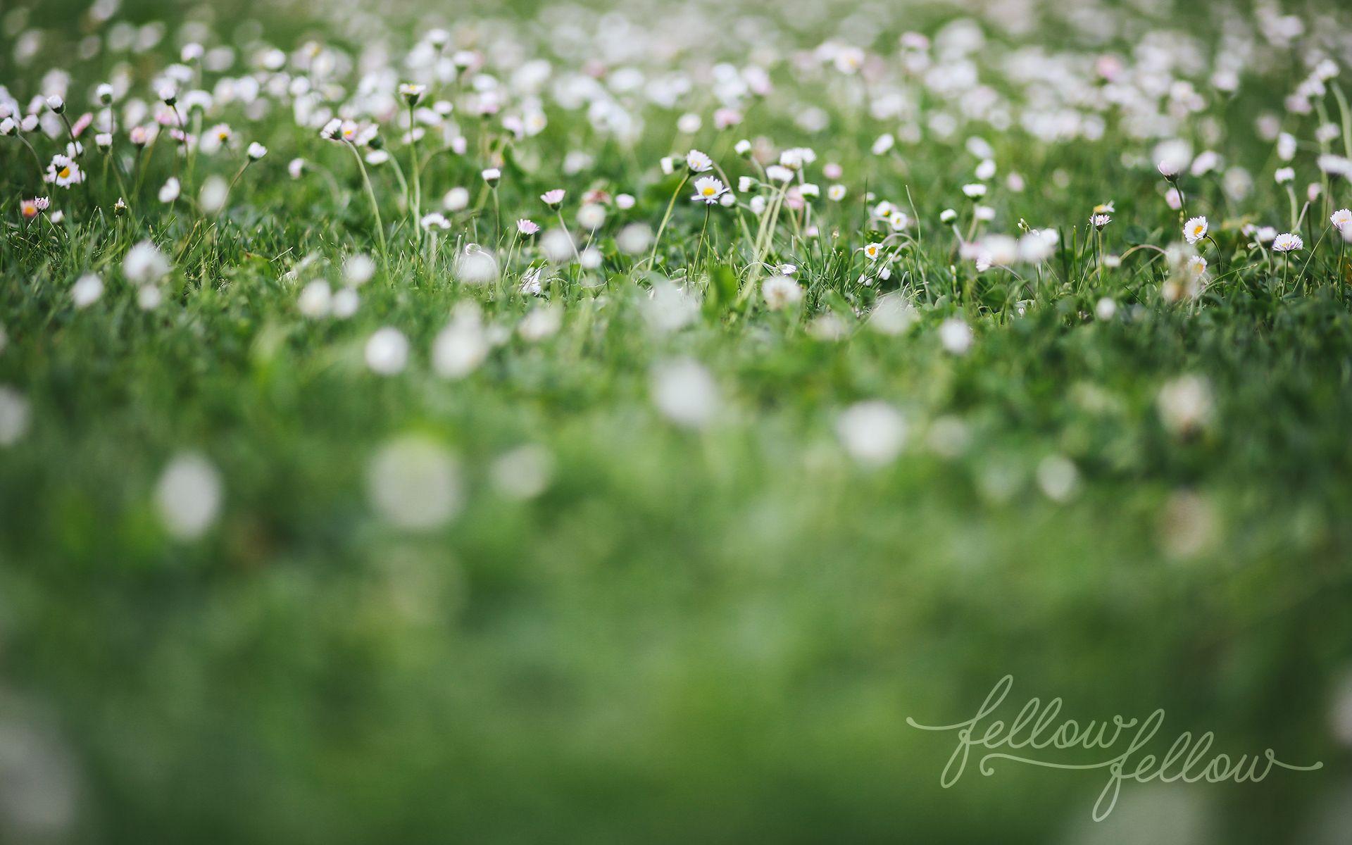 1920x1200 Freebie} Garden Wallpaper