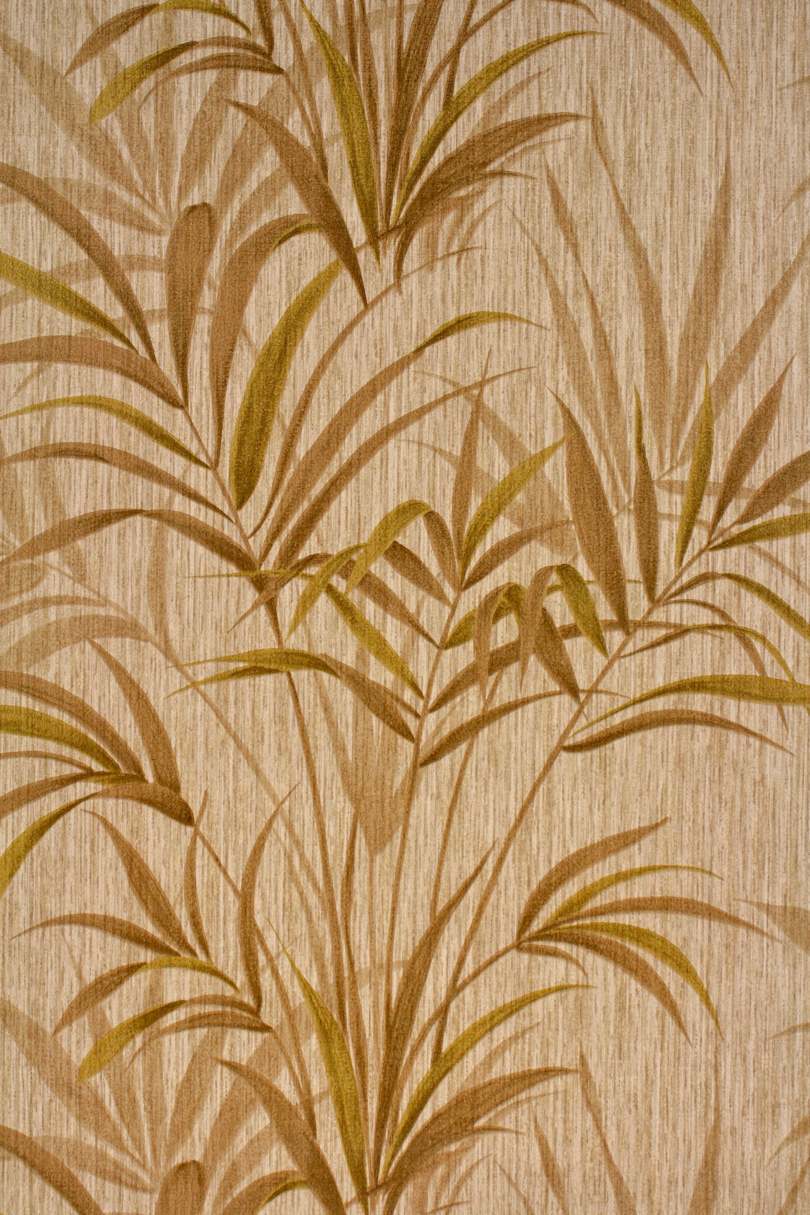 2592x3888 Leaf Wallpaper