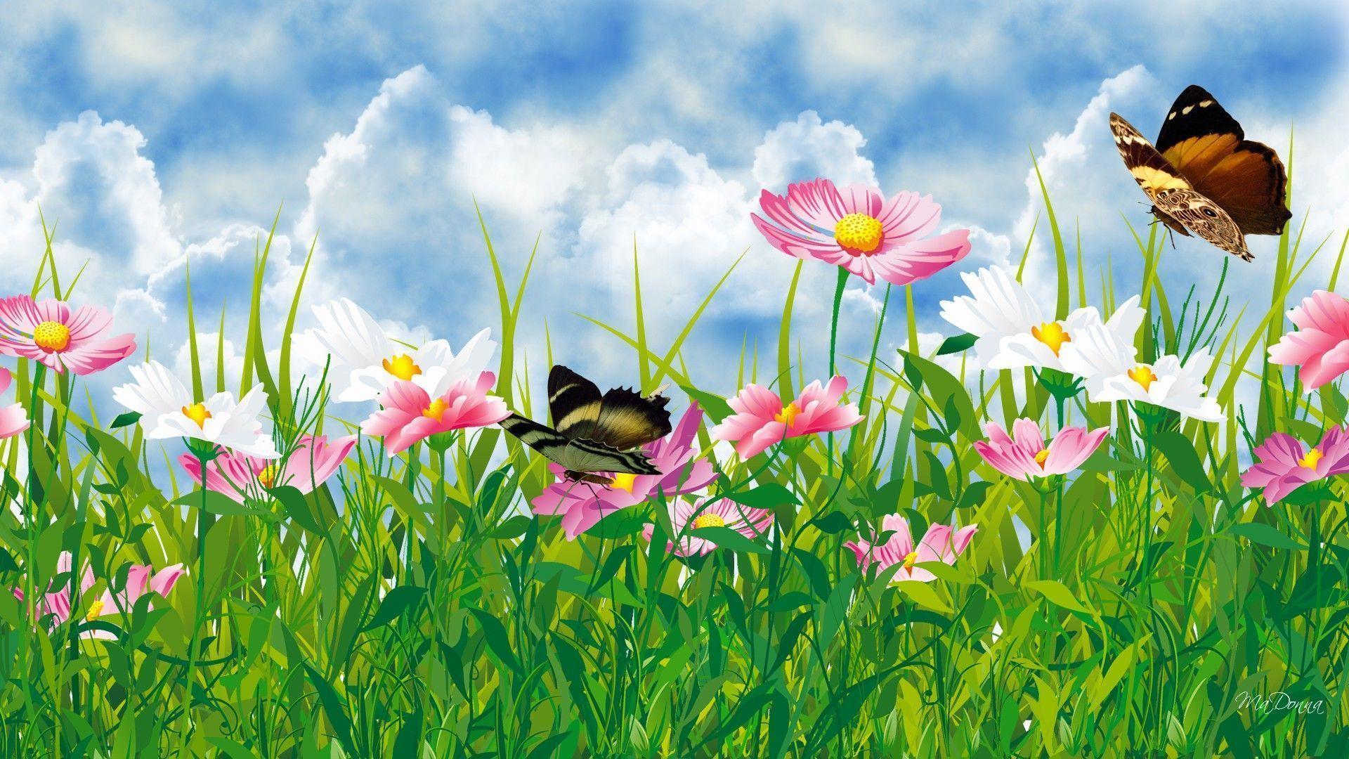 1920x1080 Wild Flowers Wallpaper