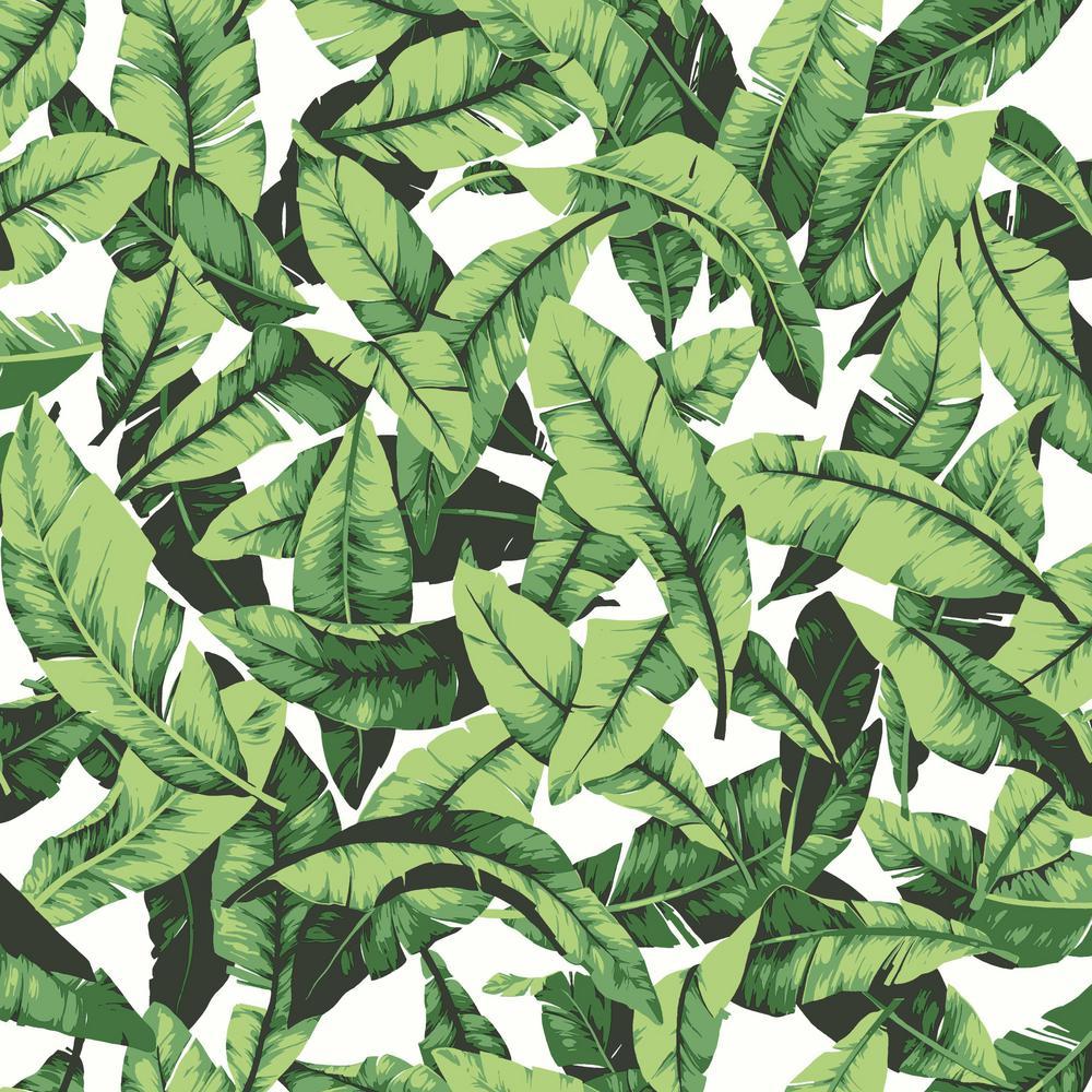 1000x1000 RoomMates 28.18 Sq. Ft. Green White Tropical Leaf Peel