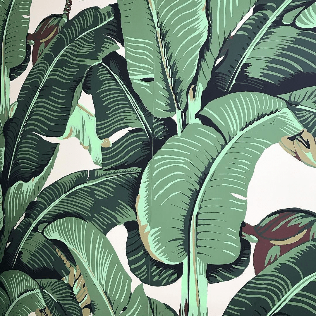 1080x1080 The Original Beverly Hills Martinique Banana Leaf Wallpaper