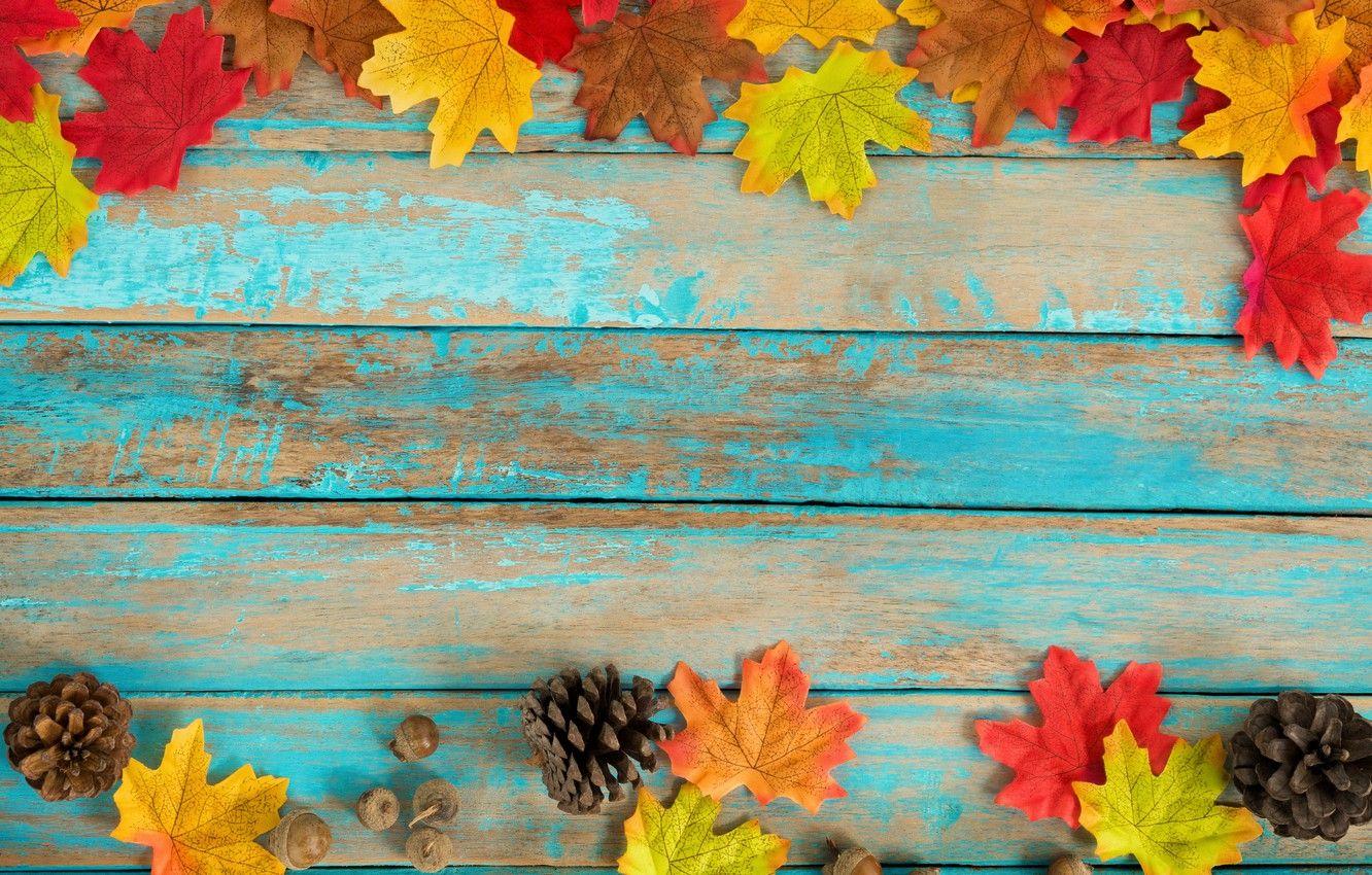 Colorful Wood Wallpapers - Top Free Colorful Wood Backgrounds ...