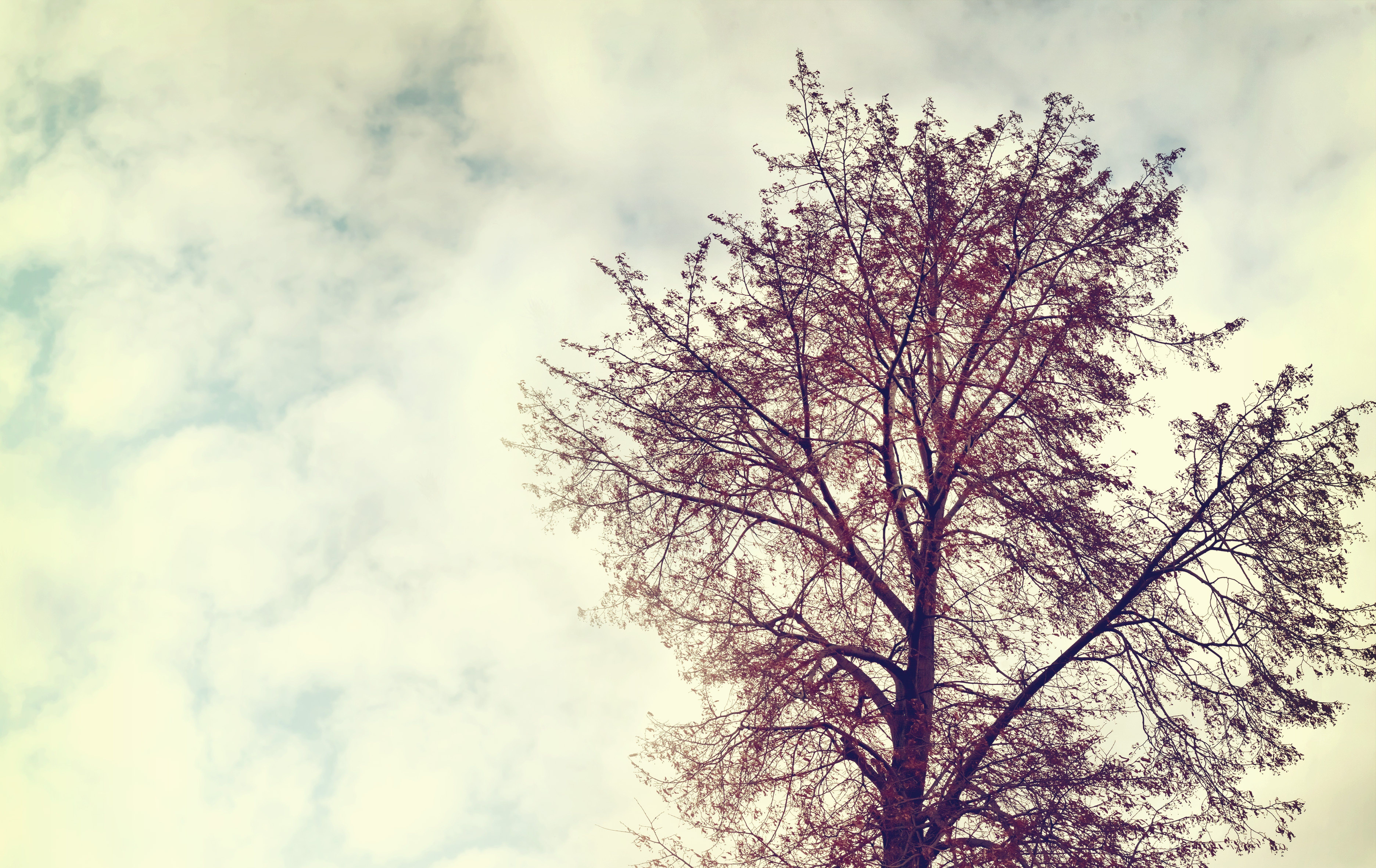 7488x4725 Wallpaper the sky, clouds, landscape