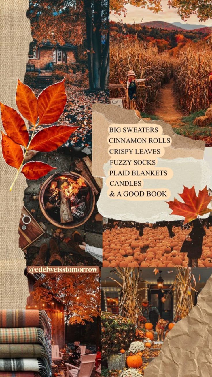 736x1308 nature #vibes #books #wallpaper #art