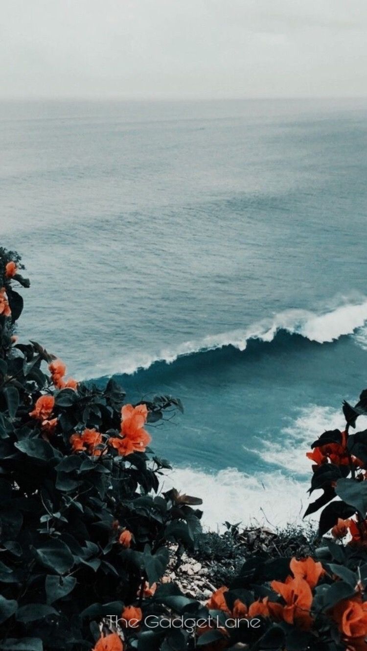 750x1331 Vintage Nature Wallpaper
