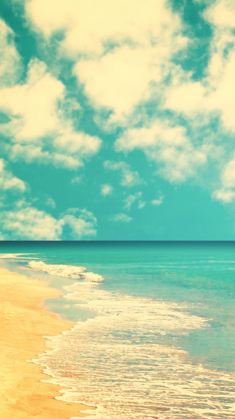800x1423 HD phone wallpaper