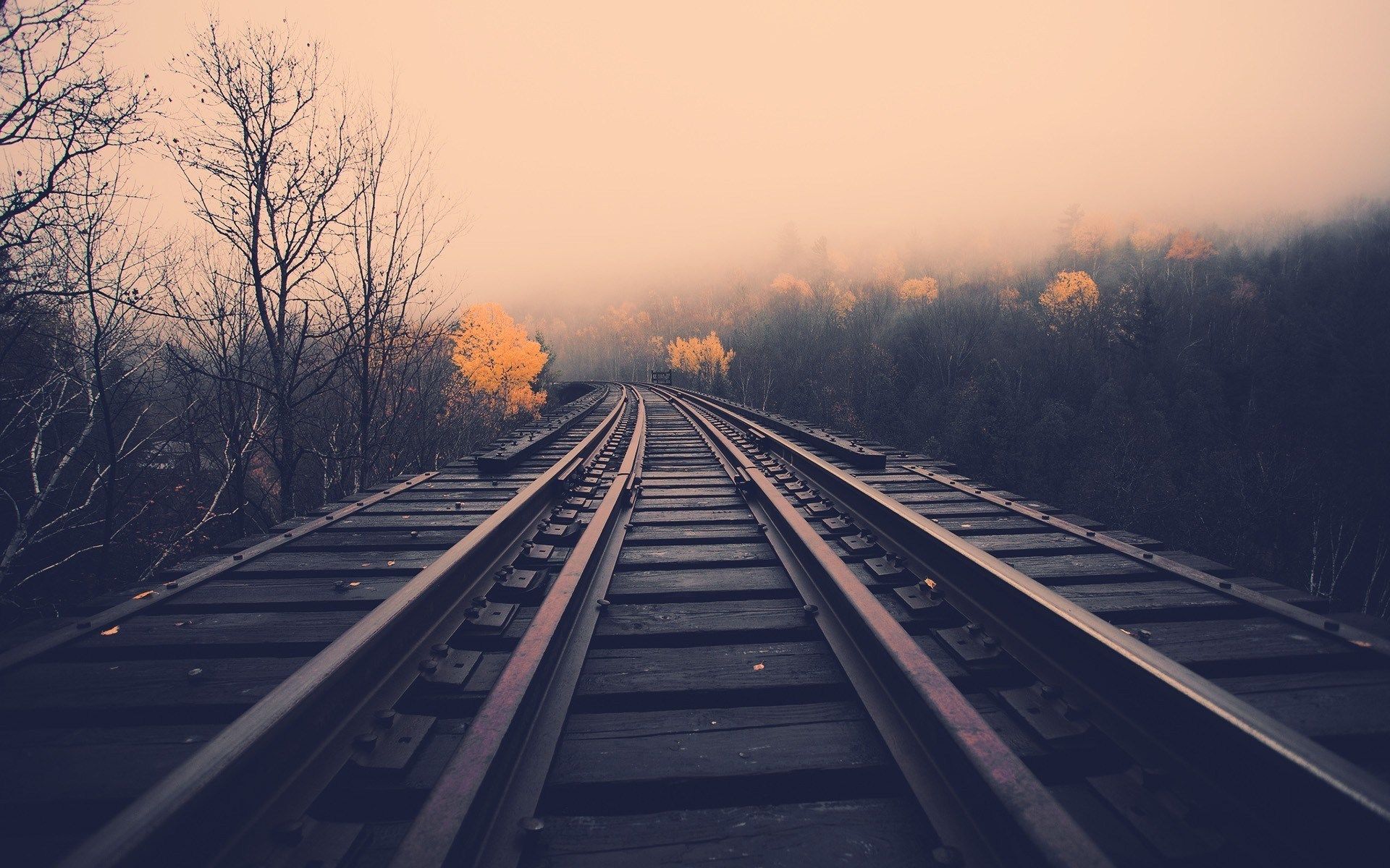 1920x1200 Vintage Landscape Wallpaper