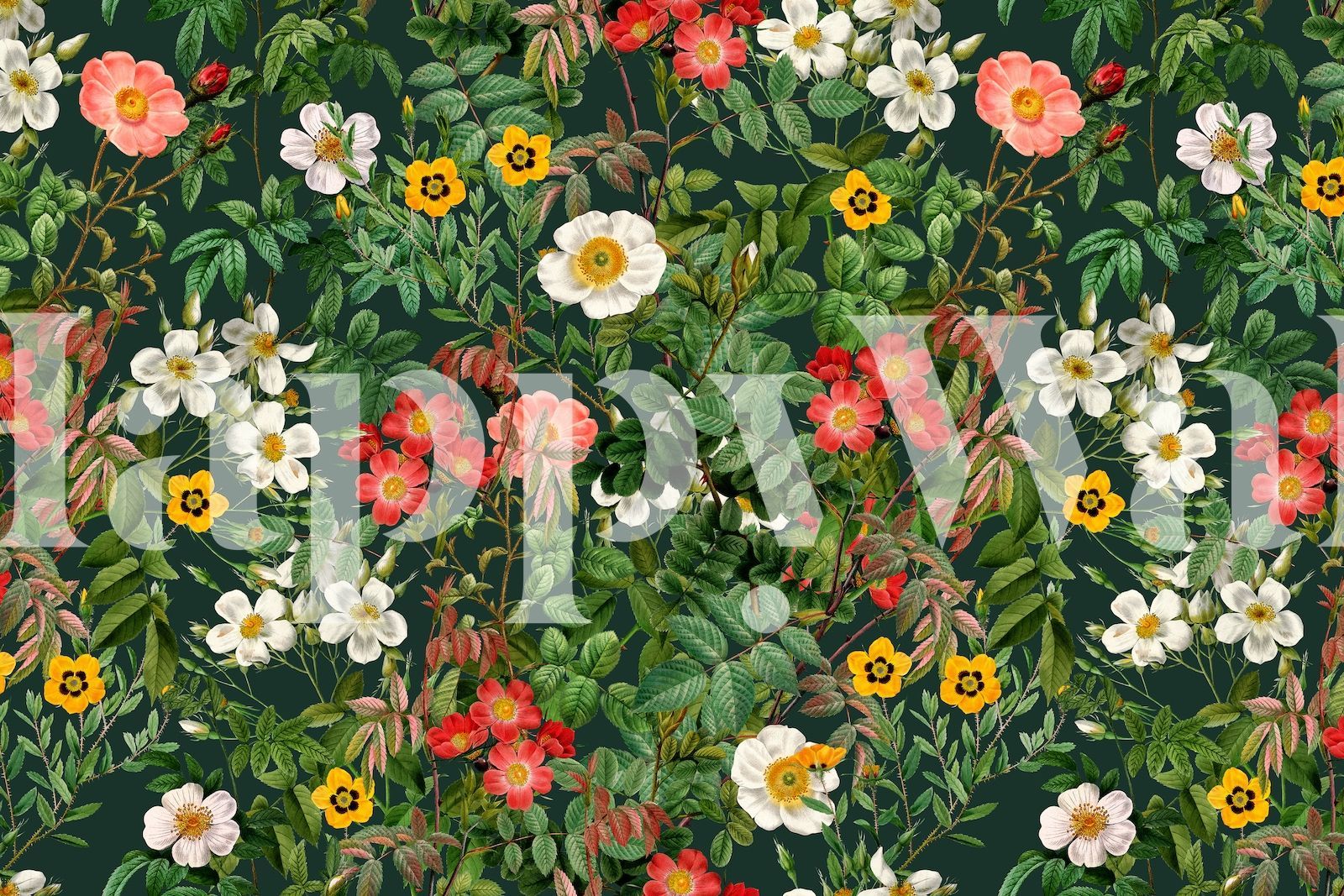 1600x1067 Vintage Nature Garden Wallpaper