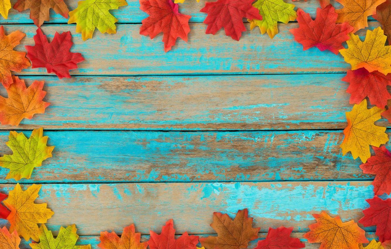 1332x850 Wallpaper autumn, leaves, background, tree, colorful