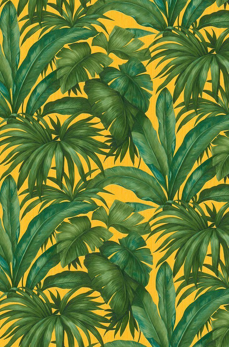 735x1115 Tropical Leaf Wallpaper Design By Versace Called Giungla