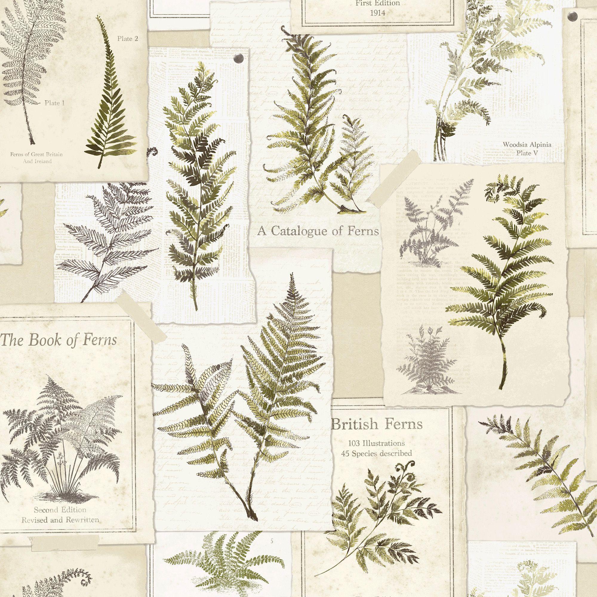 2000x2000 Ideco Home Fern Leaves Foral Wallpaper. Departments. DIY at B&Q