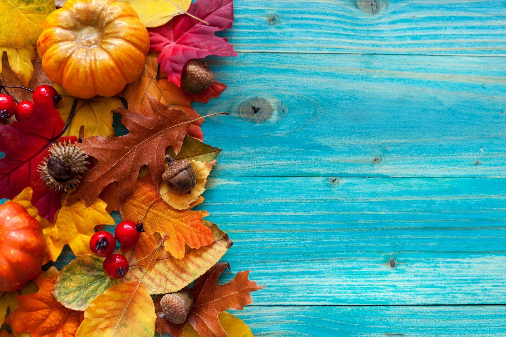 1920x1280 Autumn Leaves Tree Vintage Acorns Berries Pumpkin HD