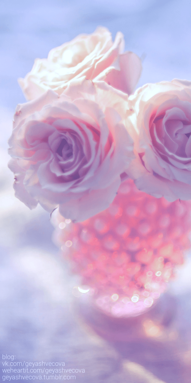 640x1280 art, background, beautiful, beauty, camera, design, flowers