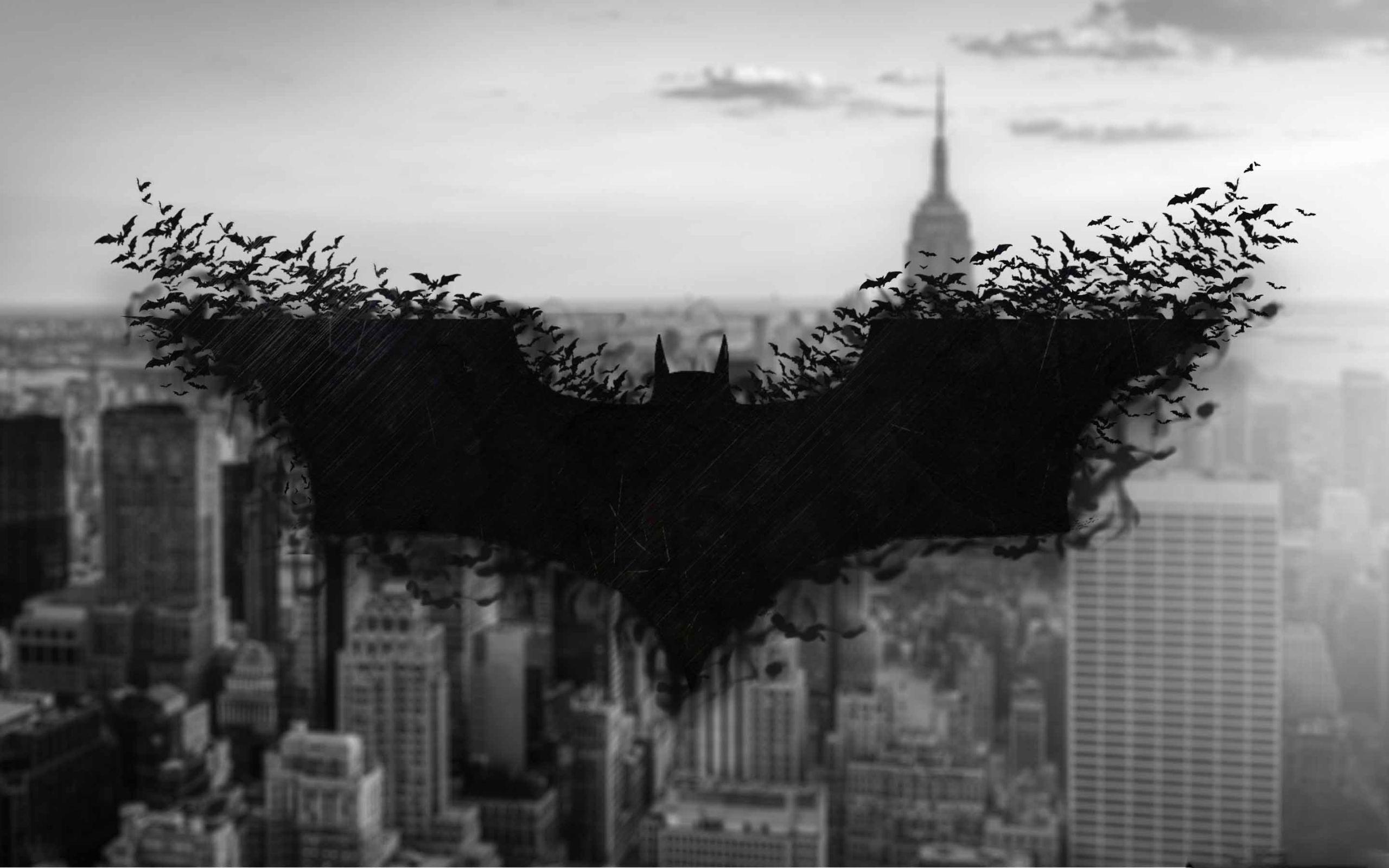 2560x1600 Batman Protector Of The Realm MacBook Air Wallpaper Download