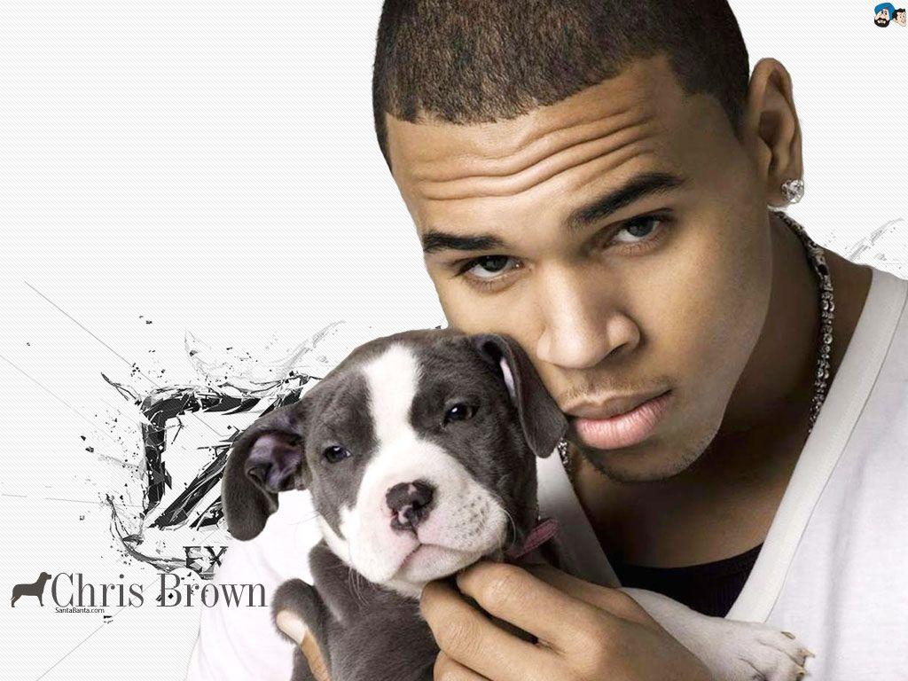 1024x768 Full HD Hot Wallpaper of Hollywood actors. Global Male