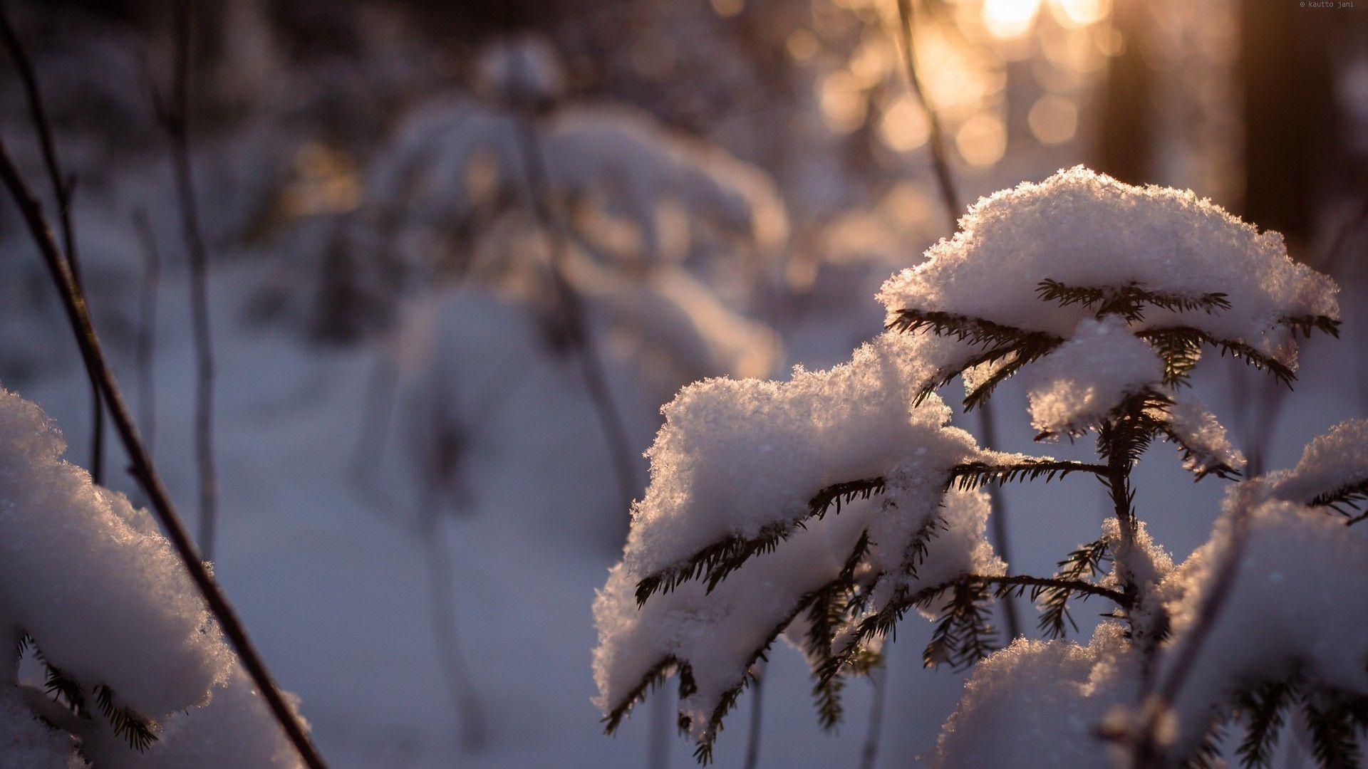 1920x1080 HD Winter Wallpaper 1080p