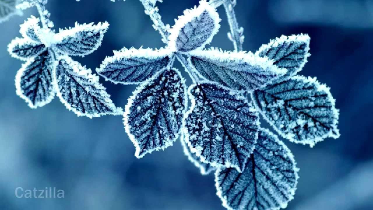 1280x720 Winter HD Wallpaper