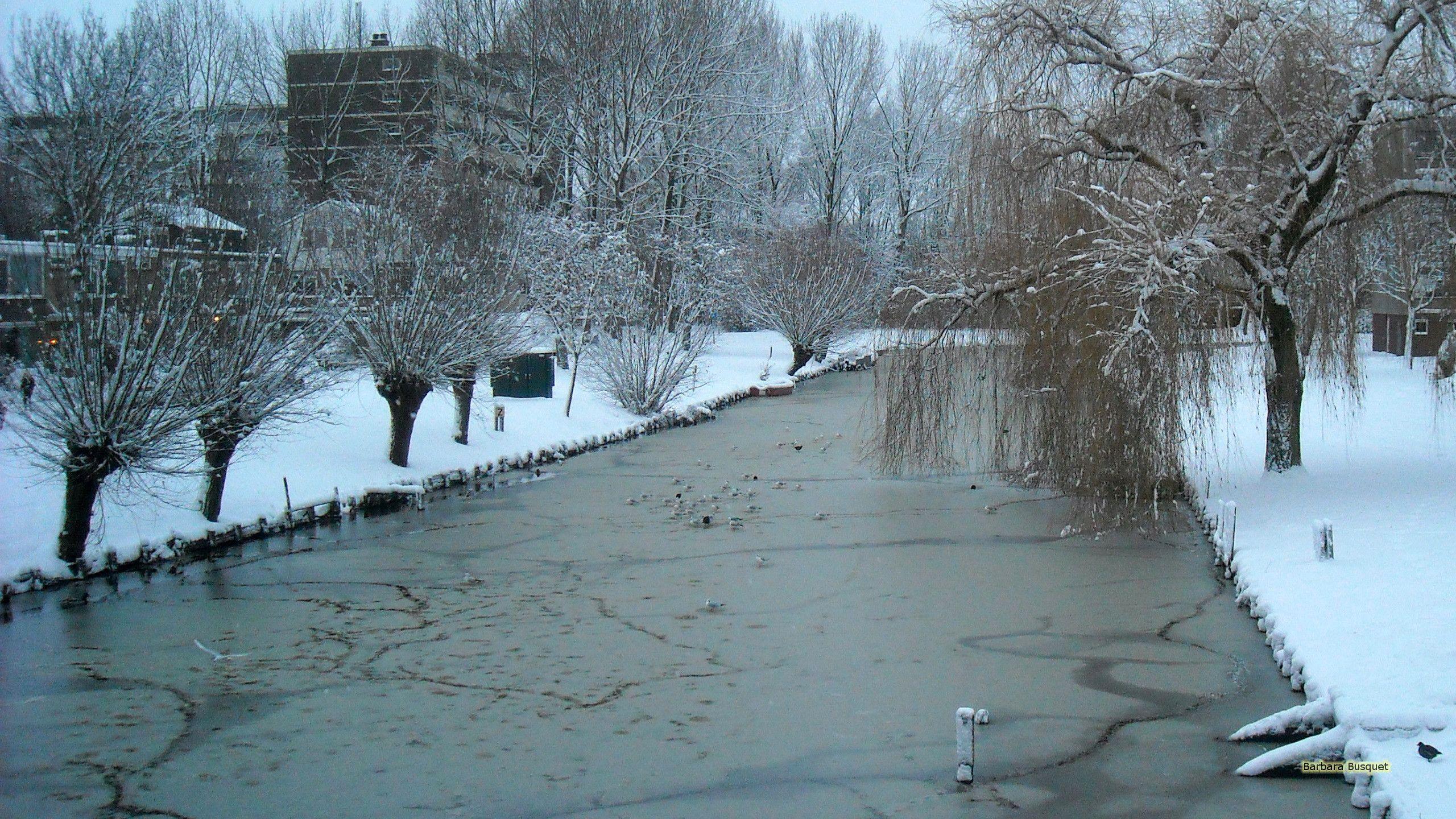 2560x1440 Canal with snow. Barbaras HD Wallpaper