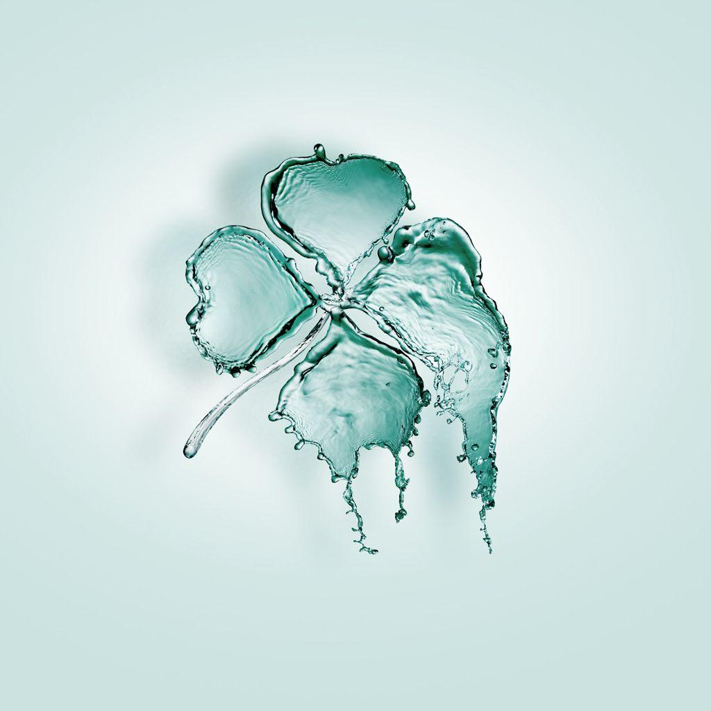 Water Clover Wallpapers - Top Free Water Clover Backgrounds ...