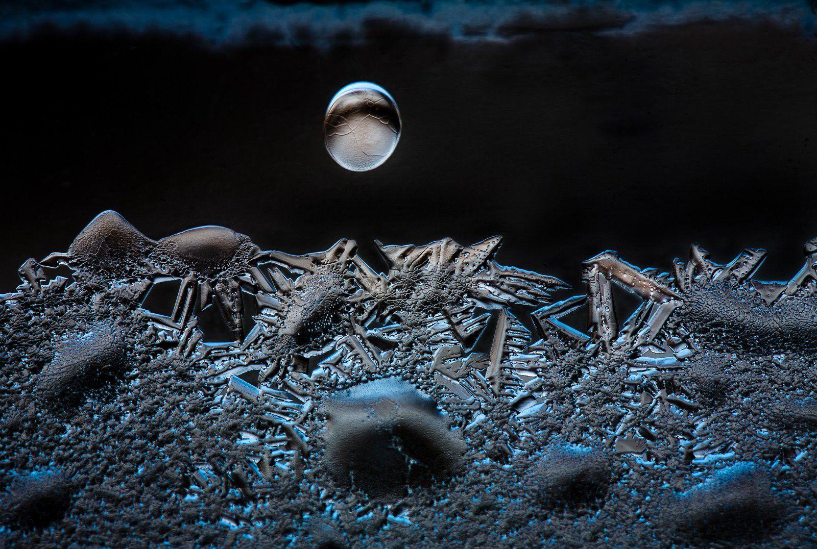 1600x1076 Nature ice winter macro textures reflexions Sculptures water