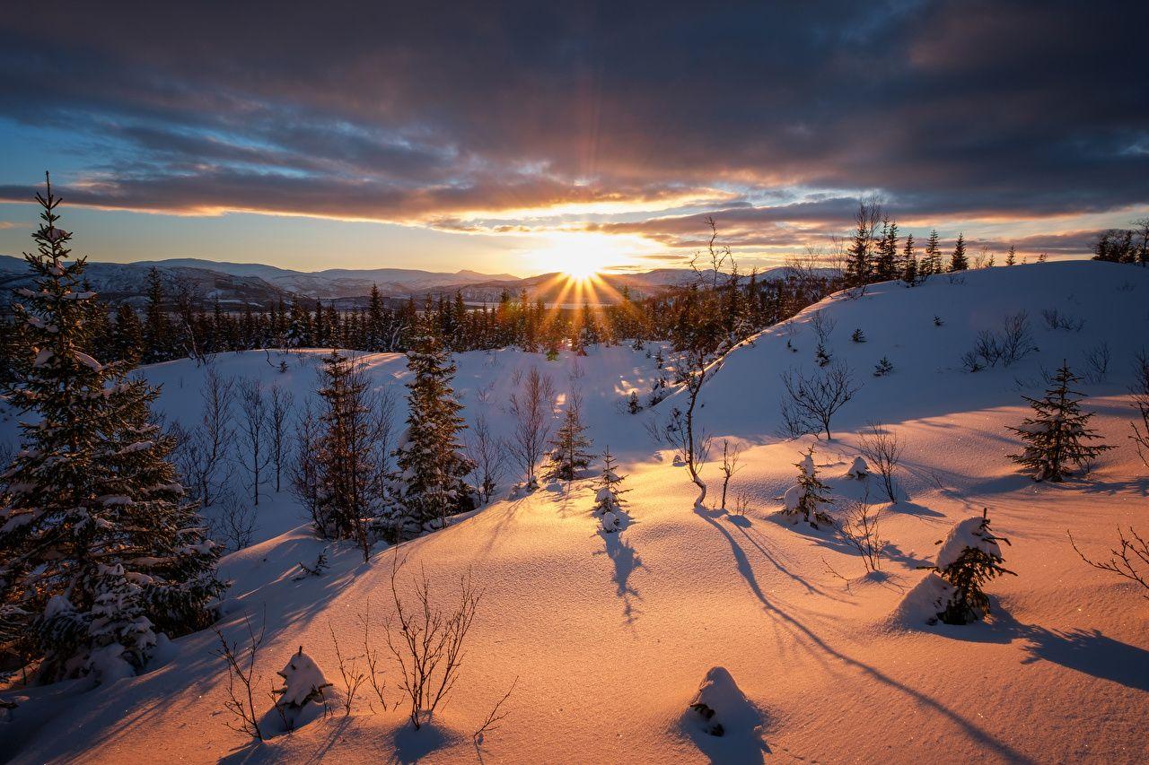 1280x853 Desktop Wallpaper Rays of light Nature Spruce Winter Snow