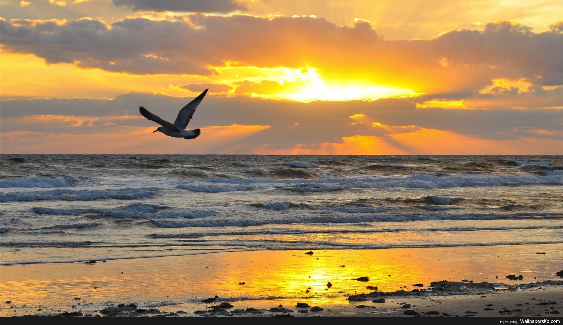 1920x1108 sunrise beach wallpaper. HD Wallpaper Download