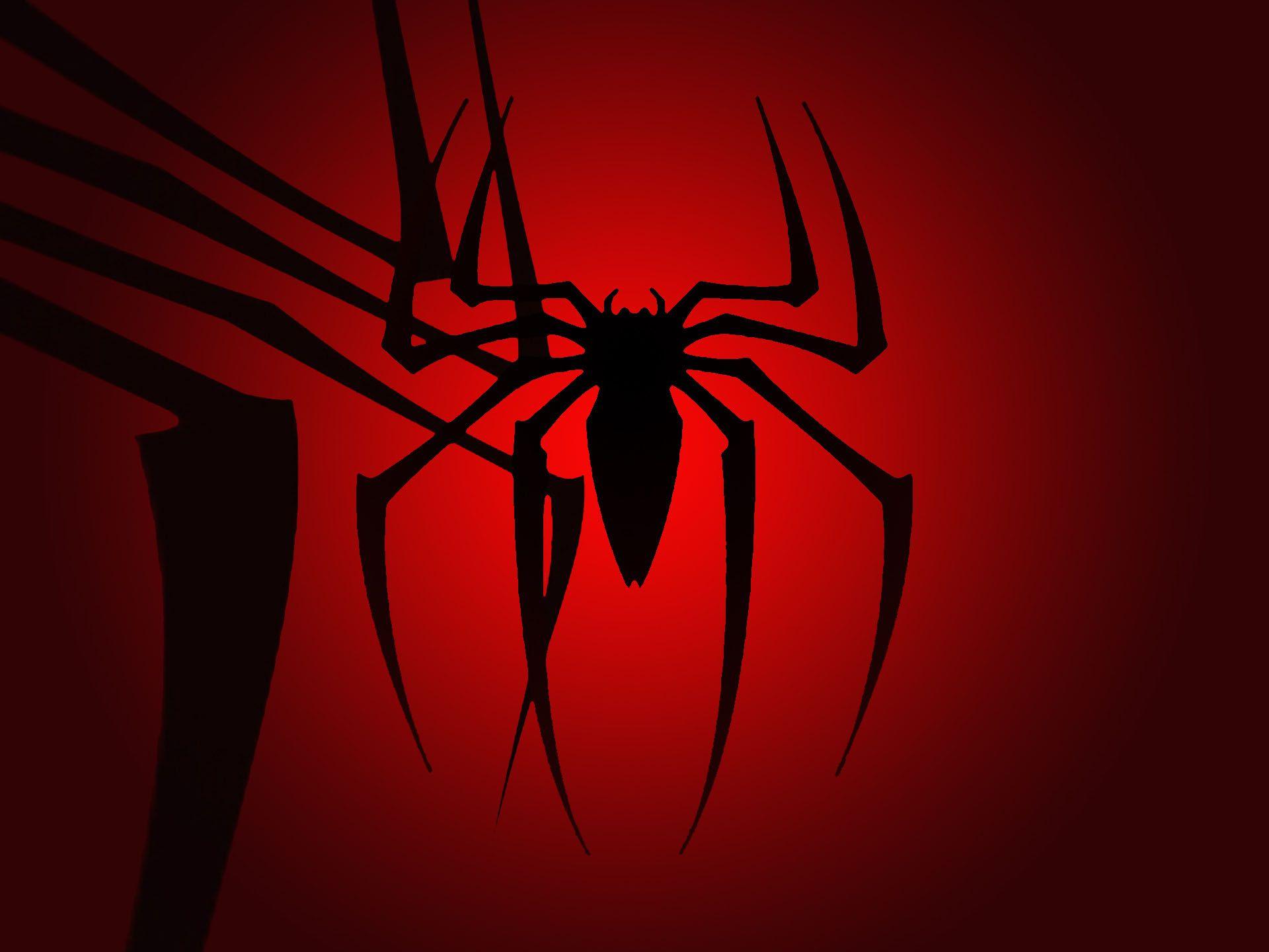 Spider Wallpapers Top Free Spider Backgrounds Wallpaperaccess