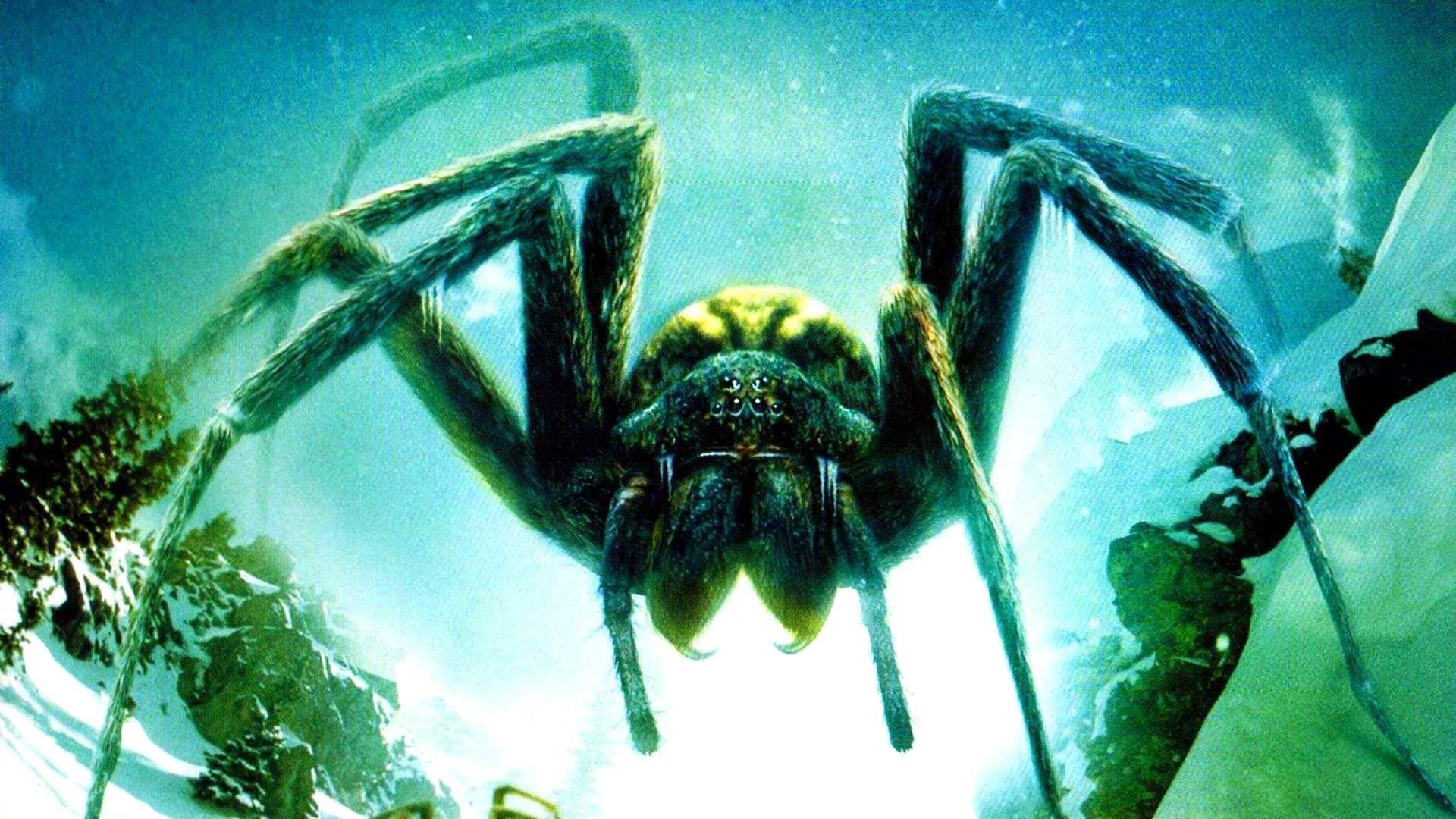 1920x1080 Green Ambient Background 1920x1080 Scary Spider