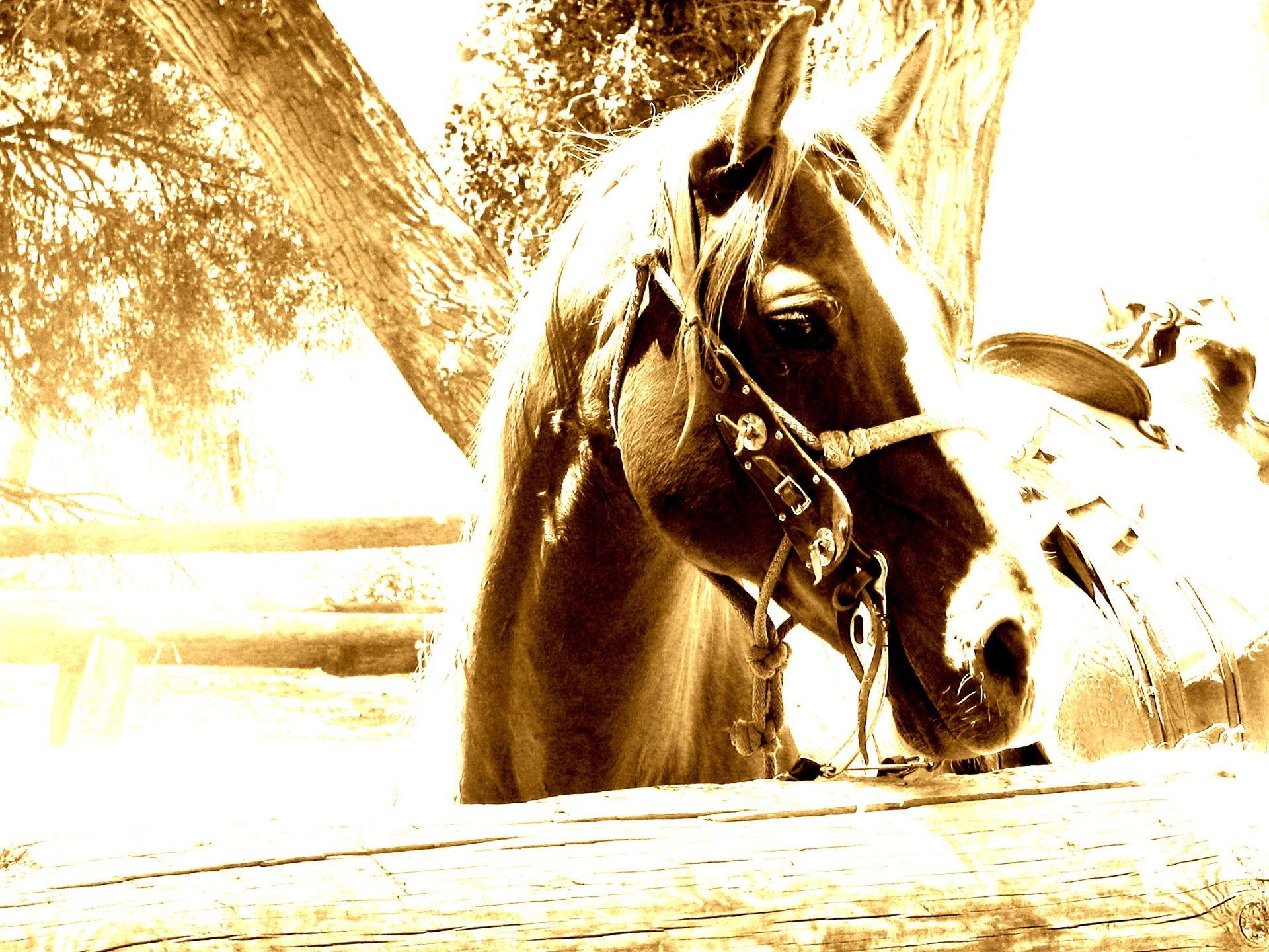1920x1440 Western Desktop Wallpaper