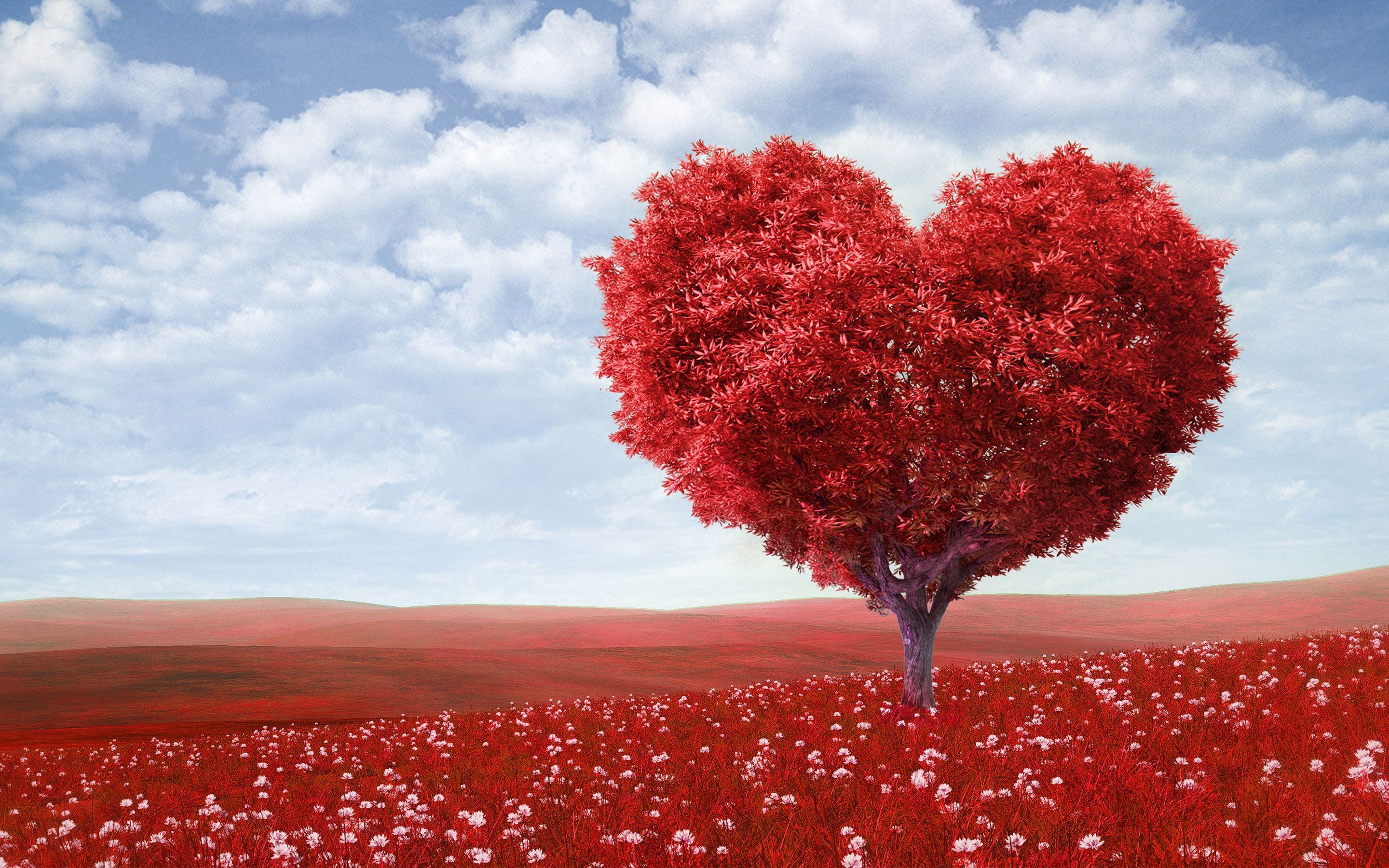 2880x1800 Red Love Heart Tree Wallpaper