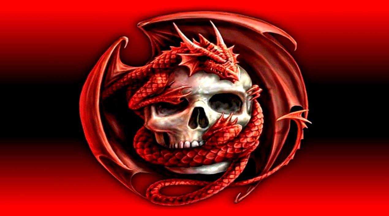 1270x706 Wallpaper HD Dragon Cool 3D