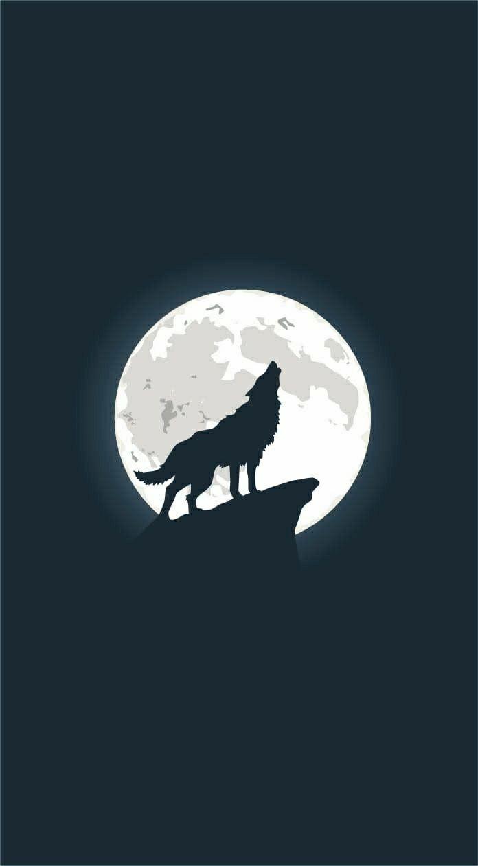 696x1261 Logo. Wolf wallpaper, Wolf