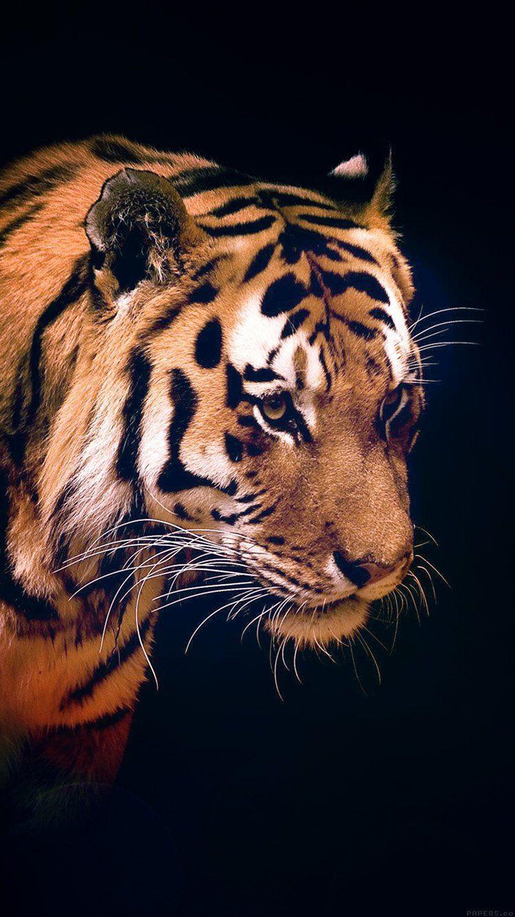 750x1334 TIGER DARK ANIMAL LOVE NATURE WALLPAPER HD IPHONE in 2019