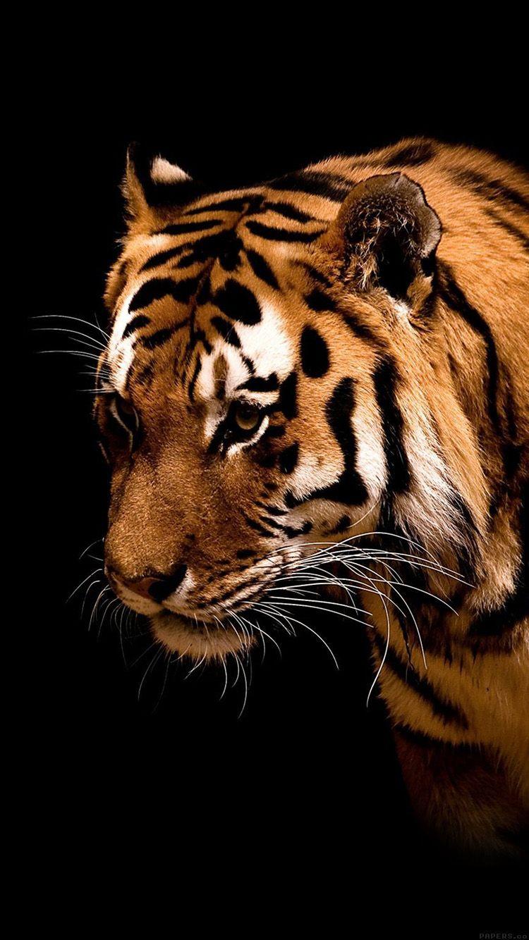 750x1334 iPhone wallpaper. tiger jk dark animal