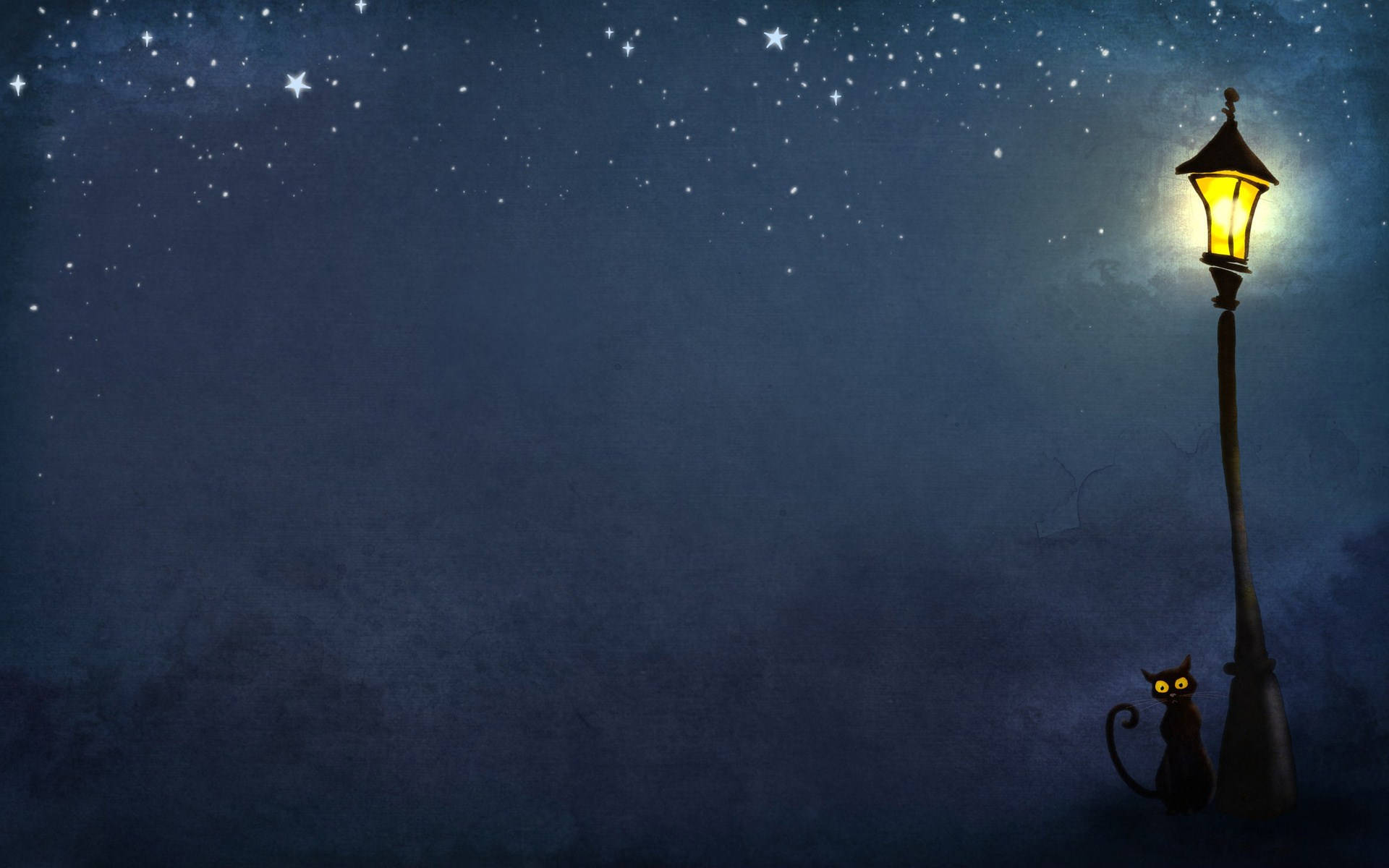 1920x1200 Download Night Aesthetic Black Cat
