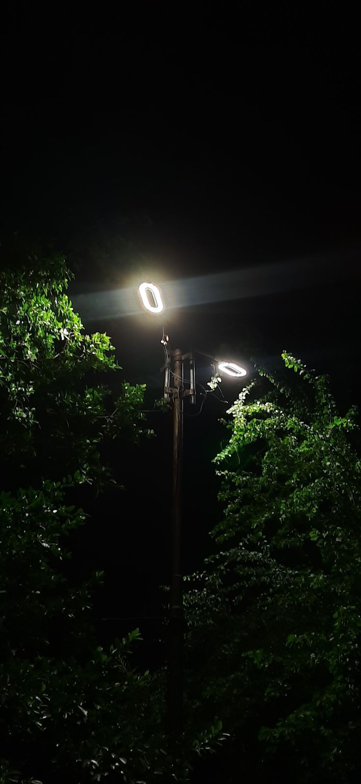 736x1596 street lamp wallpaper