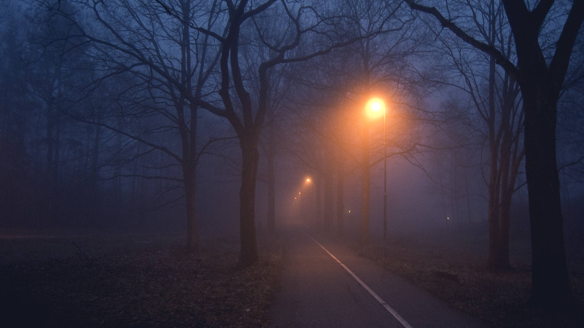 1920x1080 Lamp Posts In Foggy Forest Wallpaper