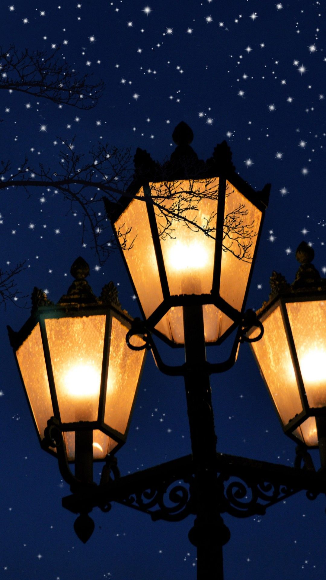 1080x1920 Lamp Post And Tree Without Leaves In Background Of Blue Sky And Stars 4K 5K HD Nature Wallpaper