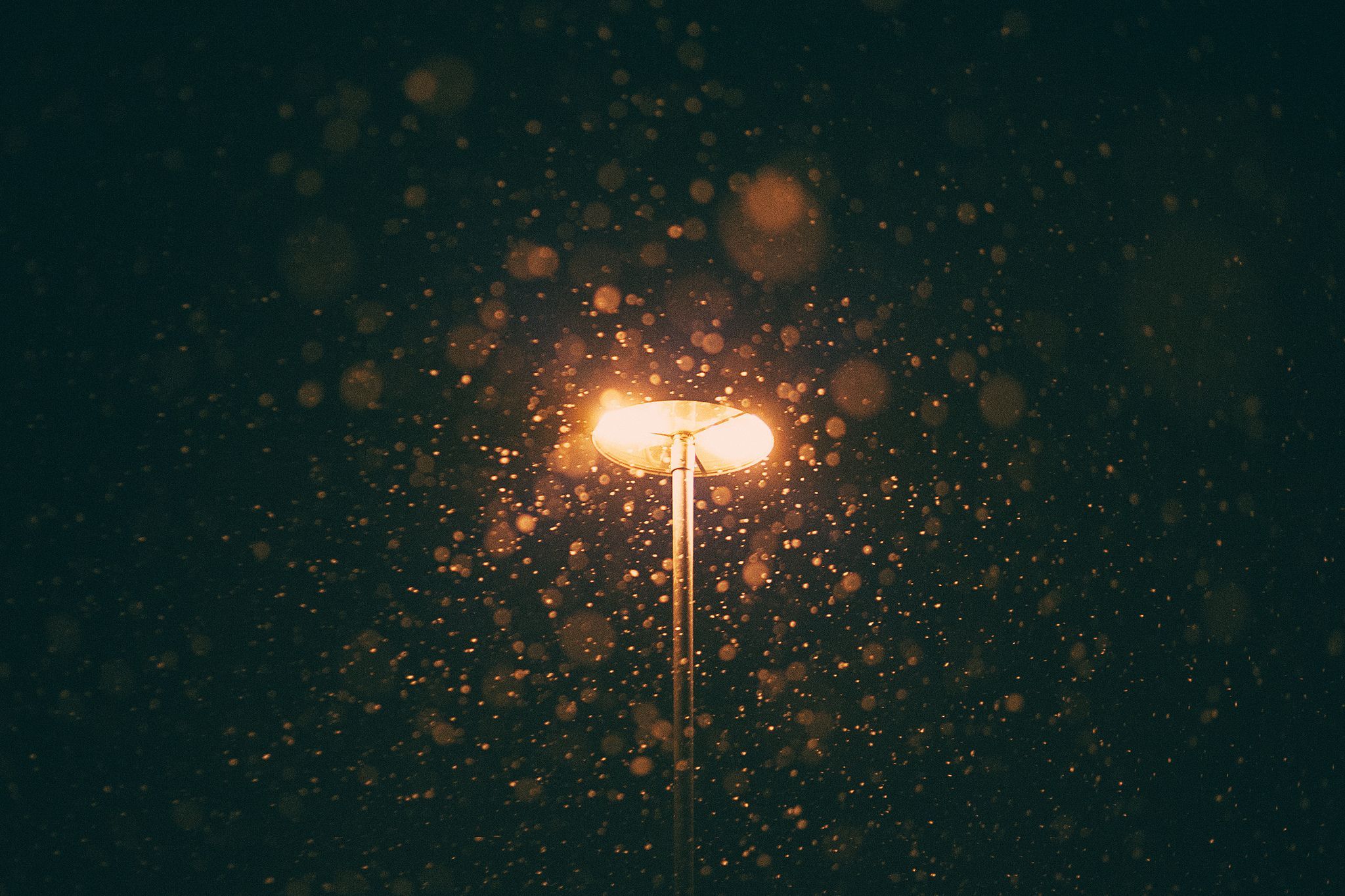 2048x1365 Wallpaper light, winter, snowing, lamp post for mobile and desktop, section разное, resolution 2048x1365