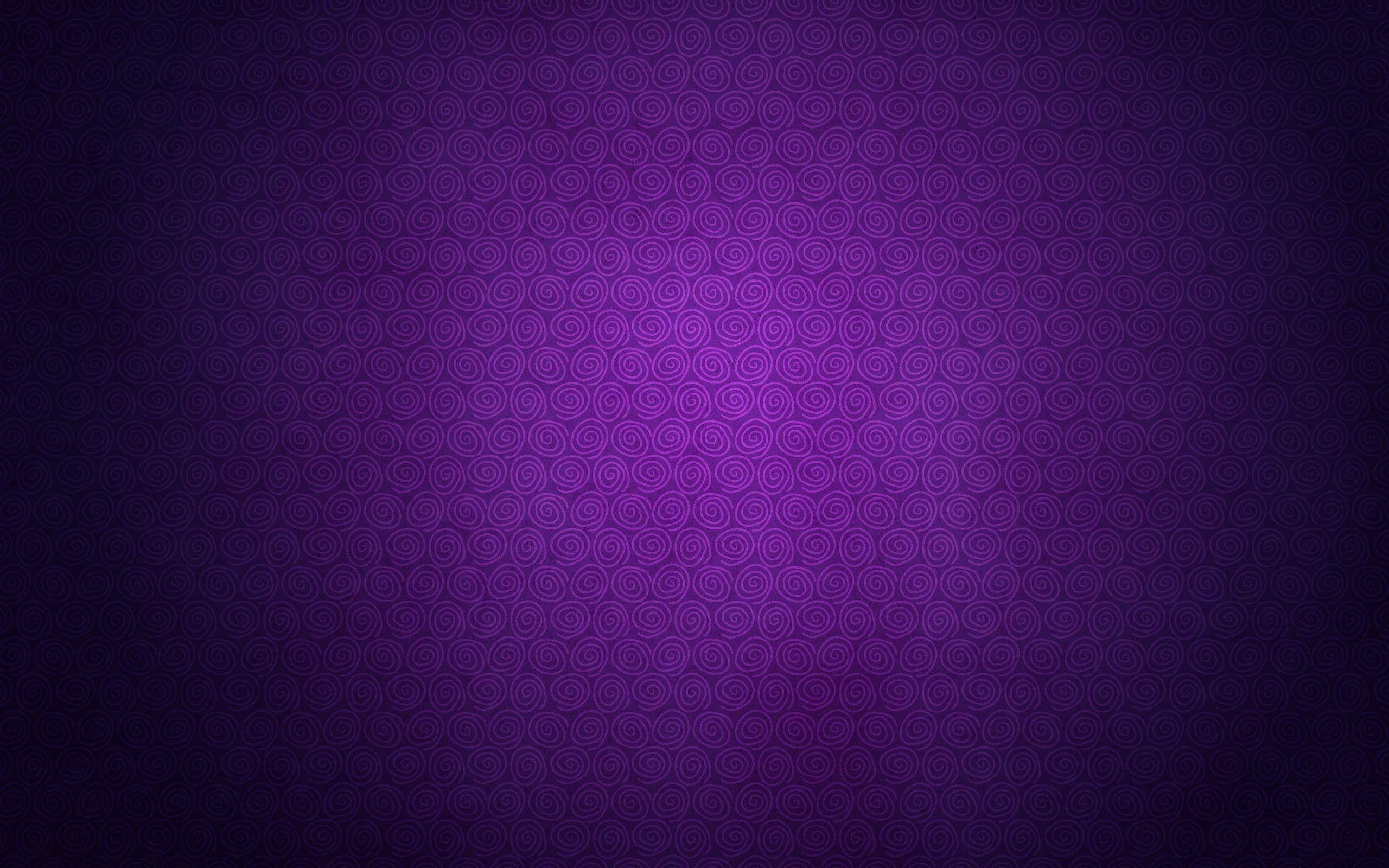 2560x1600 Purple Wallpaper