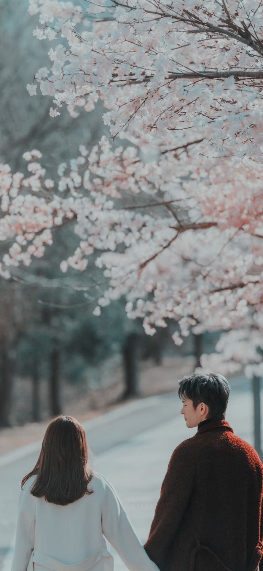 887x1920 dramasboutique