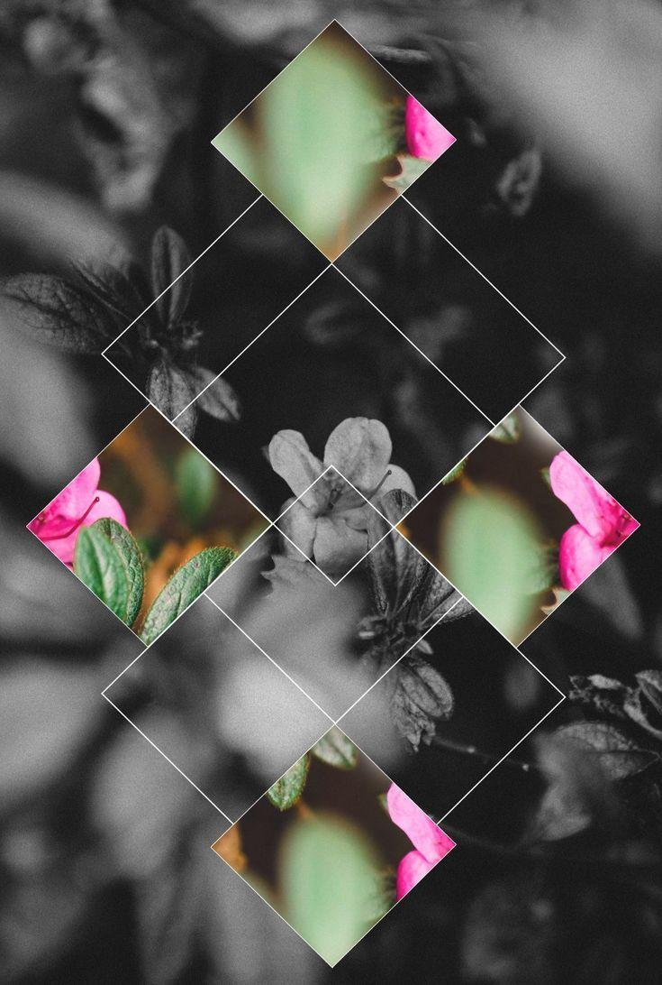 735x1092 Vintage Floral Print Background. Beautiful floral abstract